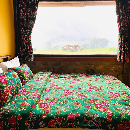 Ban Bang Ecolodge Tours & Motorbike Rental Ha Giang Exterior photo